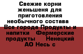 Свежие корни женьшеня для приготовления необычного состава - Все города Продукты и напитки » Фермерские продукты   . Ненецкий АО,Несь с.